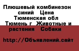 Плюшевый комбинезон “Hako“ синий › Цена ­ 600 - Тюменская обл., Тюмень г. Животные и растения » Собаки   